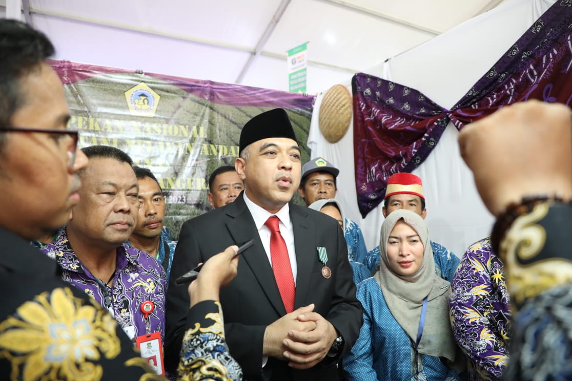 Bupati Tangerang Telah Mendapatkan Penghargaan Satyalancana Wira Karya Dari Presiden Jokowi