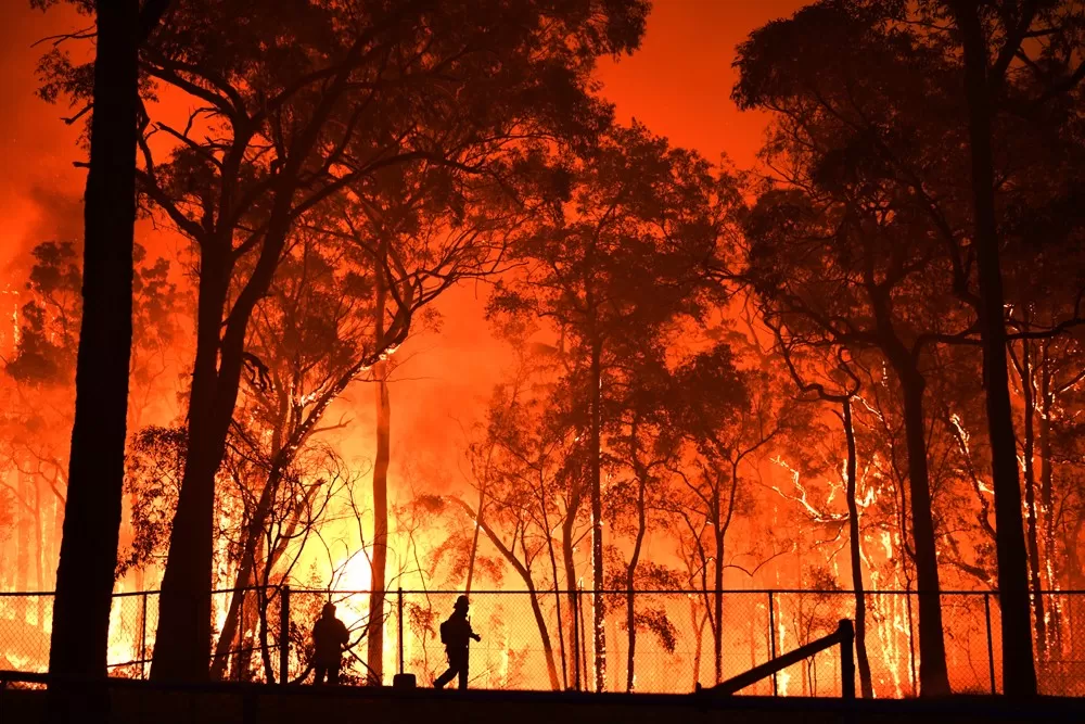 Petugas Pemadam Australia Hadapi Tantangan Berat Kendalikan Kebakaran Hutan Besar-Besaran